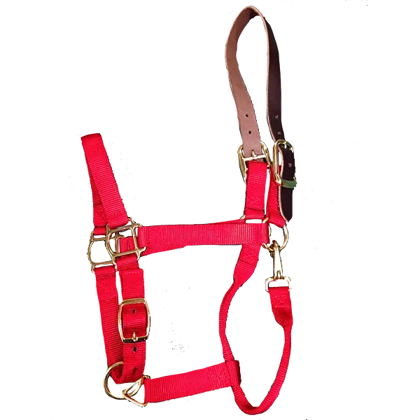 Breakaway Horse Halter