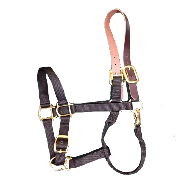 Breakaway Horse Halter