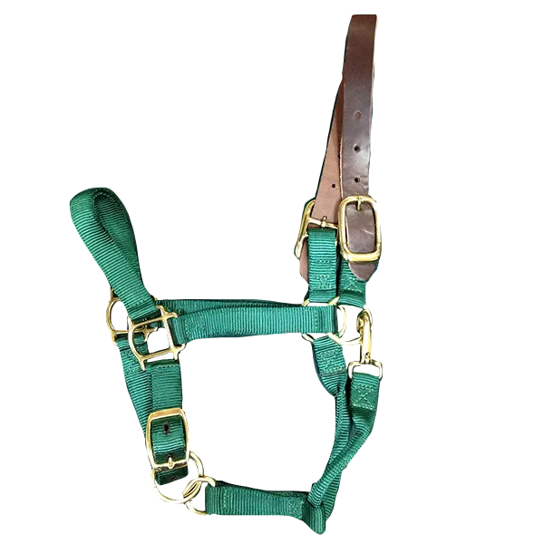 Breakaway Horse Halter