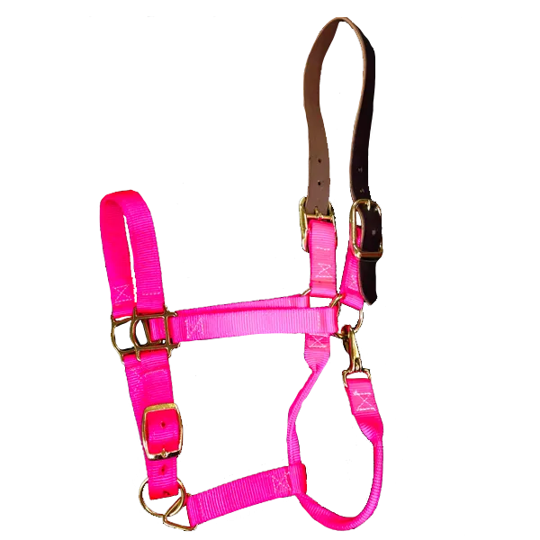 Breakaway Horse Halter