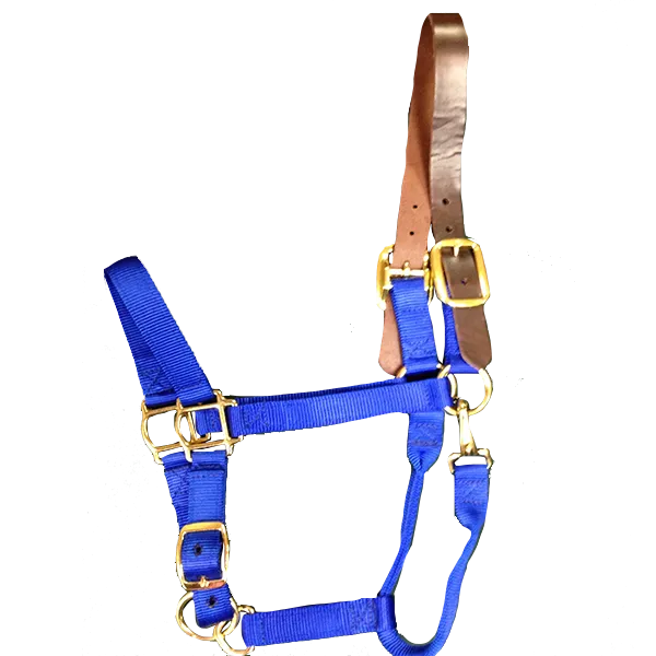 Breakaway Horse Halter