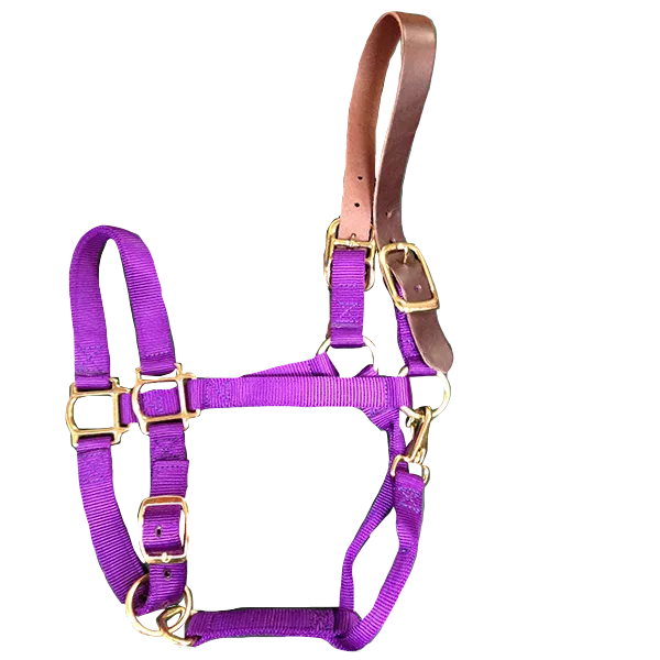 Breakaway Horse Halter