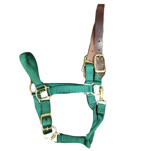 Breakaway Horse Halter